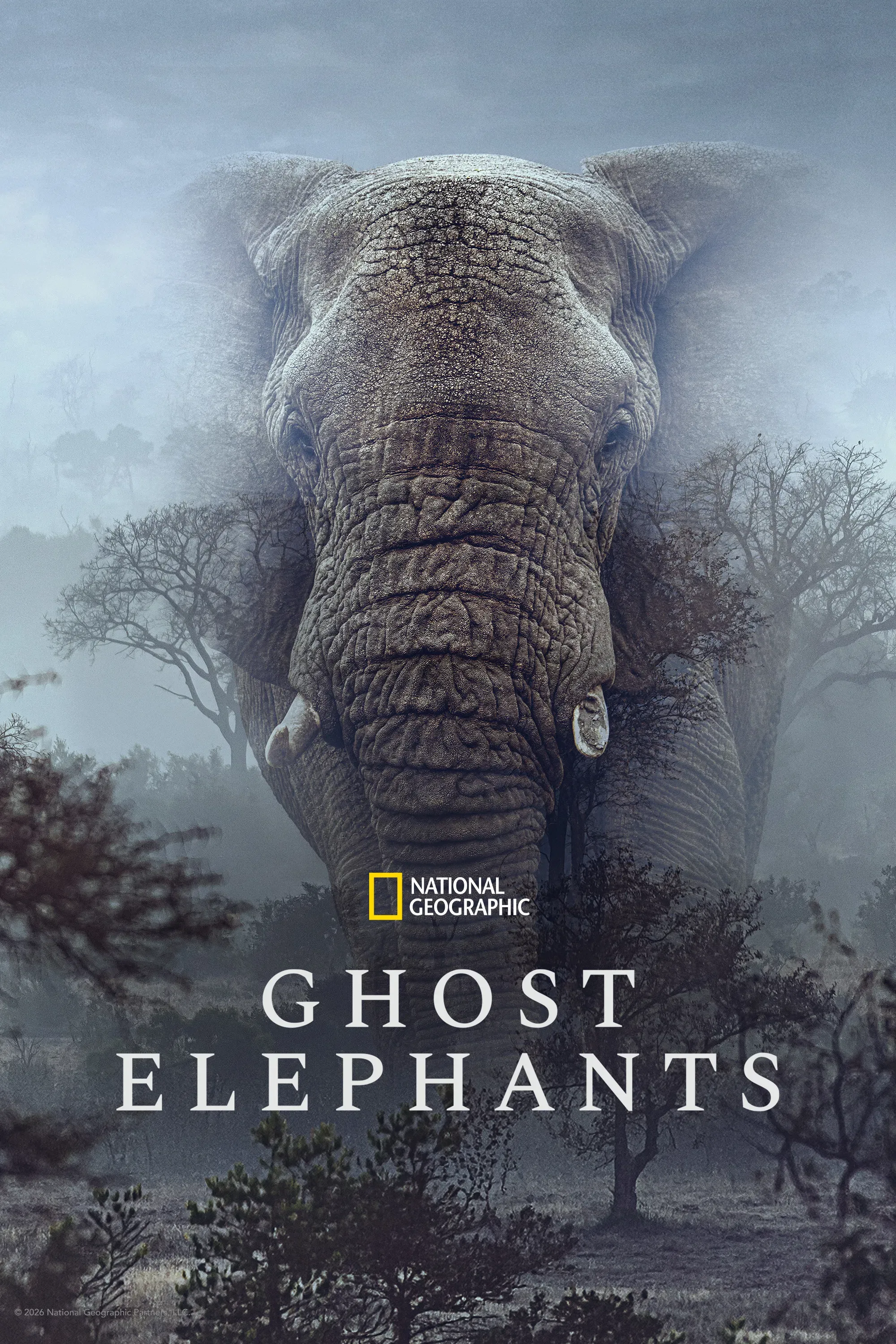 Poster for Ghost Elephants