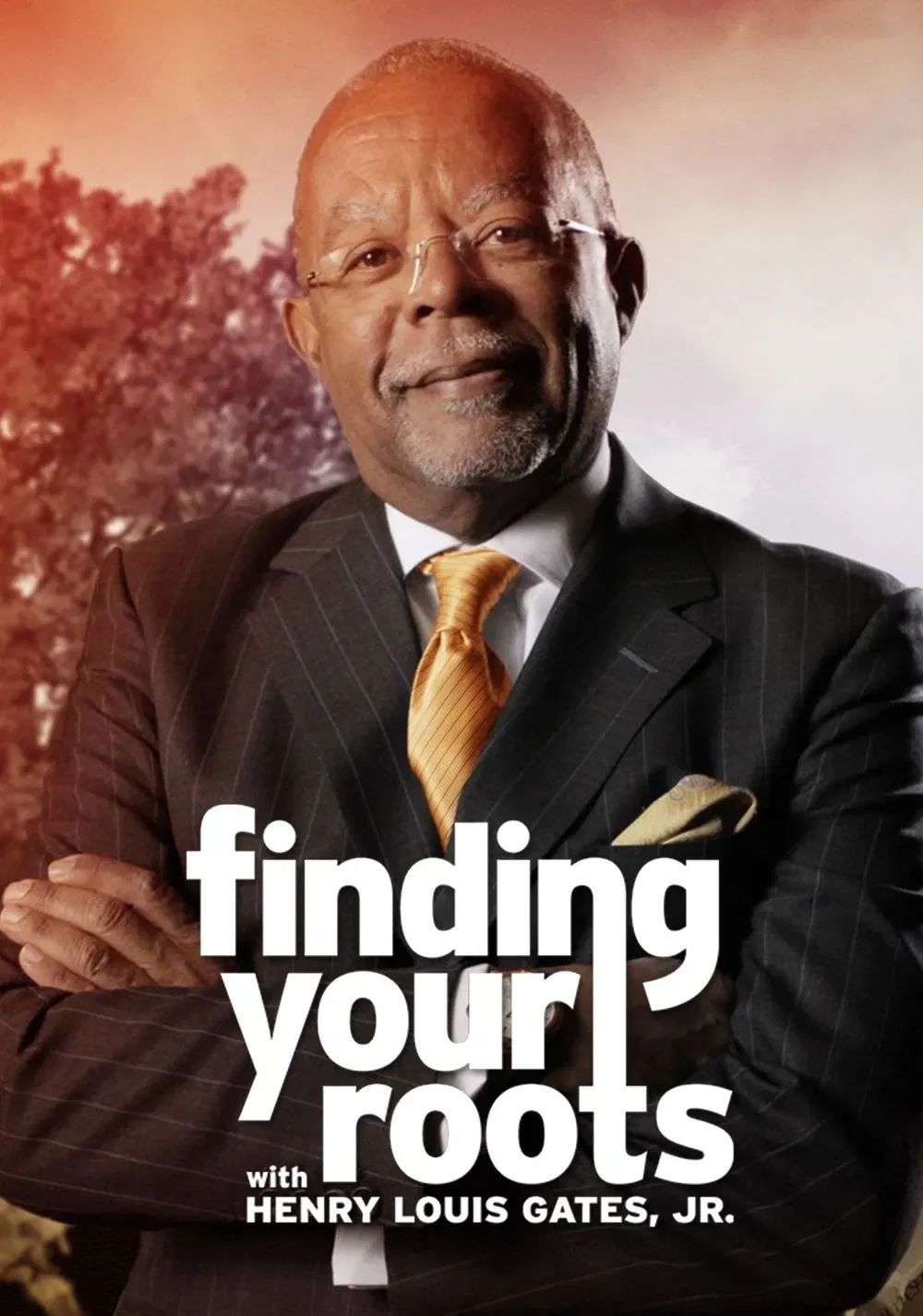Poster of Finding Your Roots