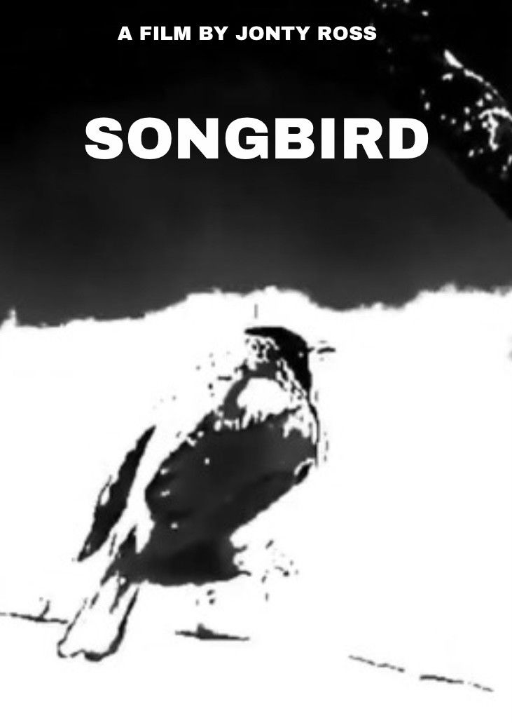 Poster of the movie Songbird
