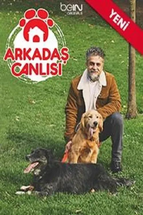 Poster of Arkadaş Canlısı