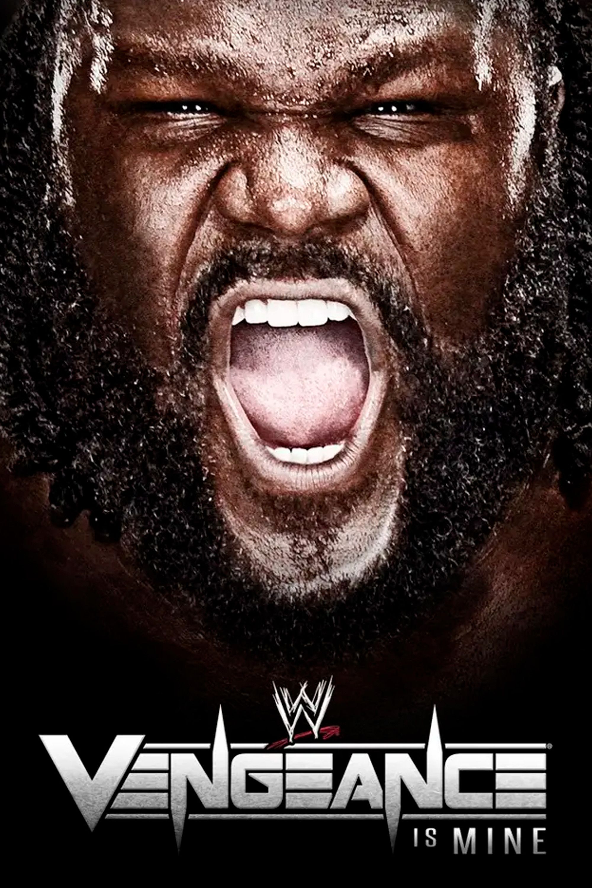 Poster of the movie WWE Vengeance 2011