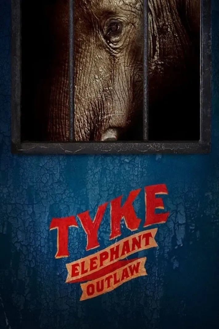 Poster of the movie Tyke Elephant Outlaw