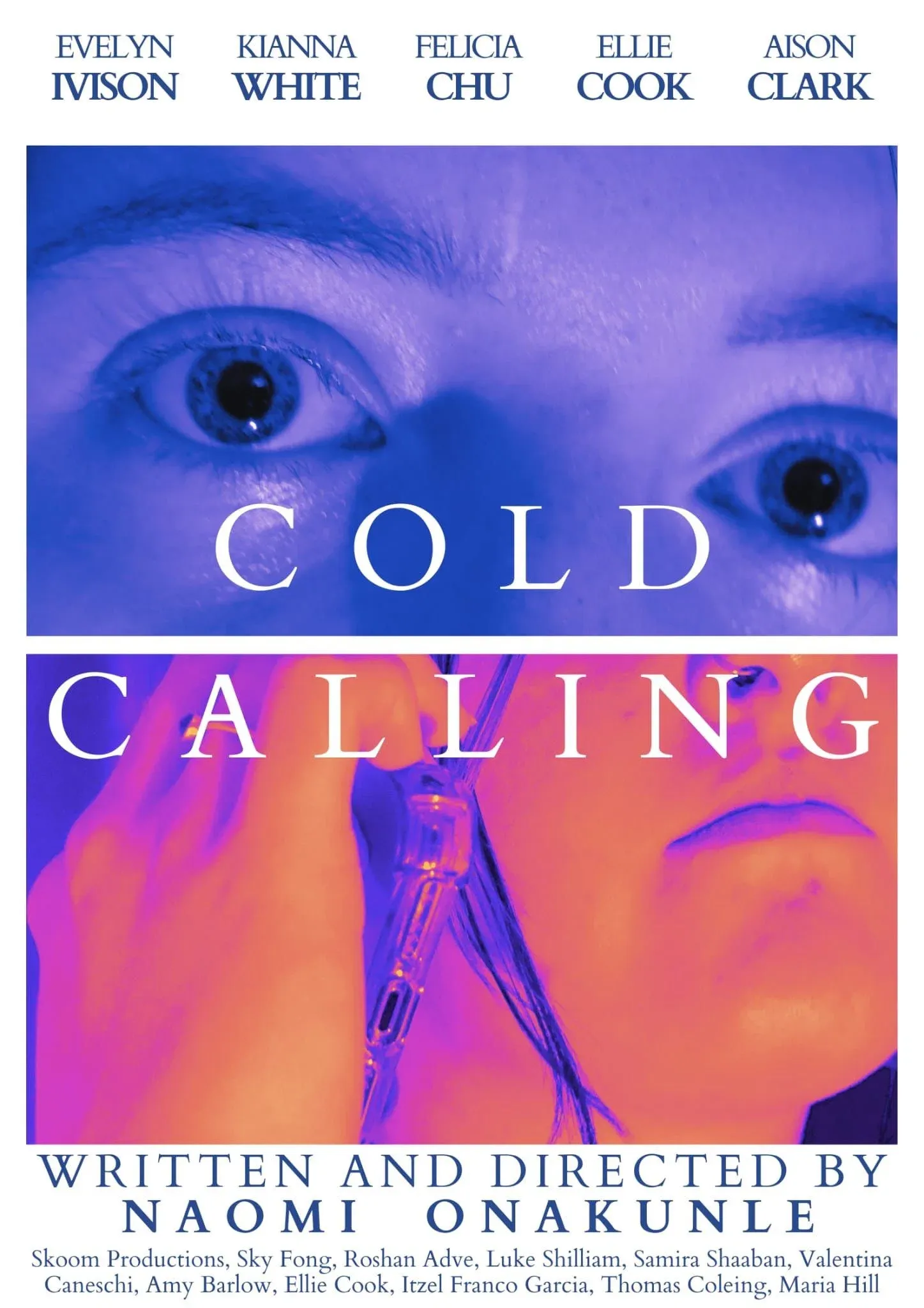 Poster for Cold Calling