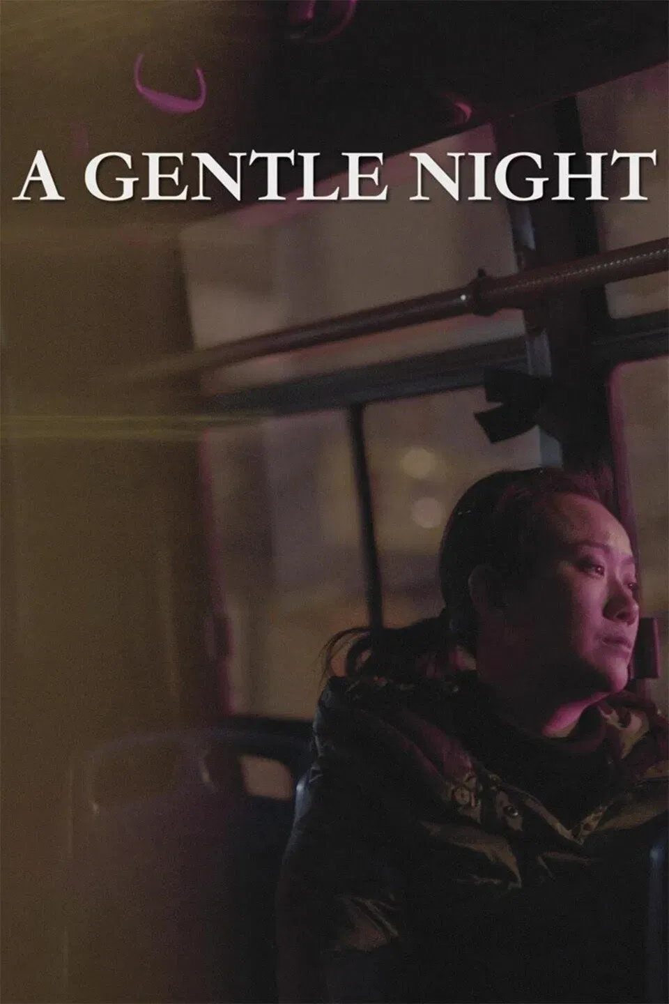 Poster of the movie A Gentle Night