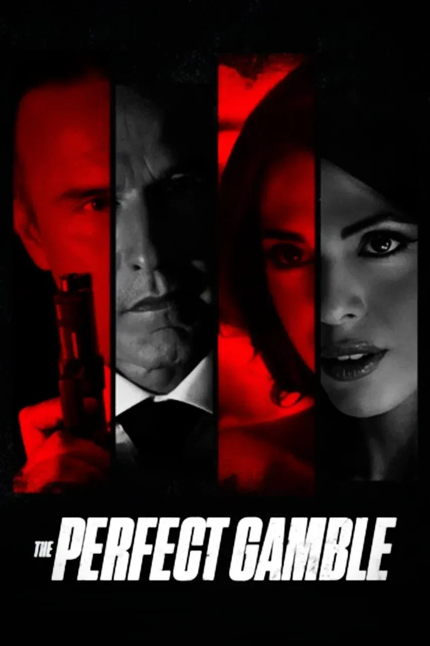 Poster for The Perfect Gamble