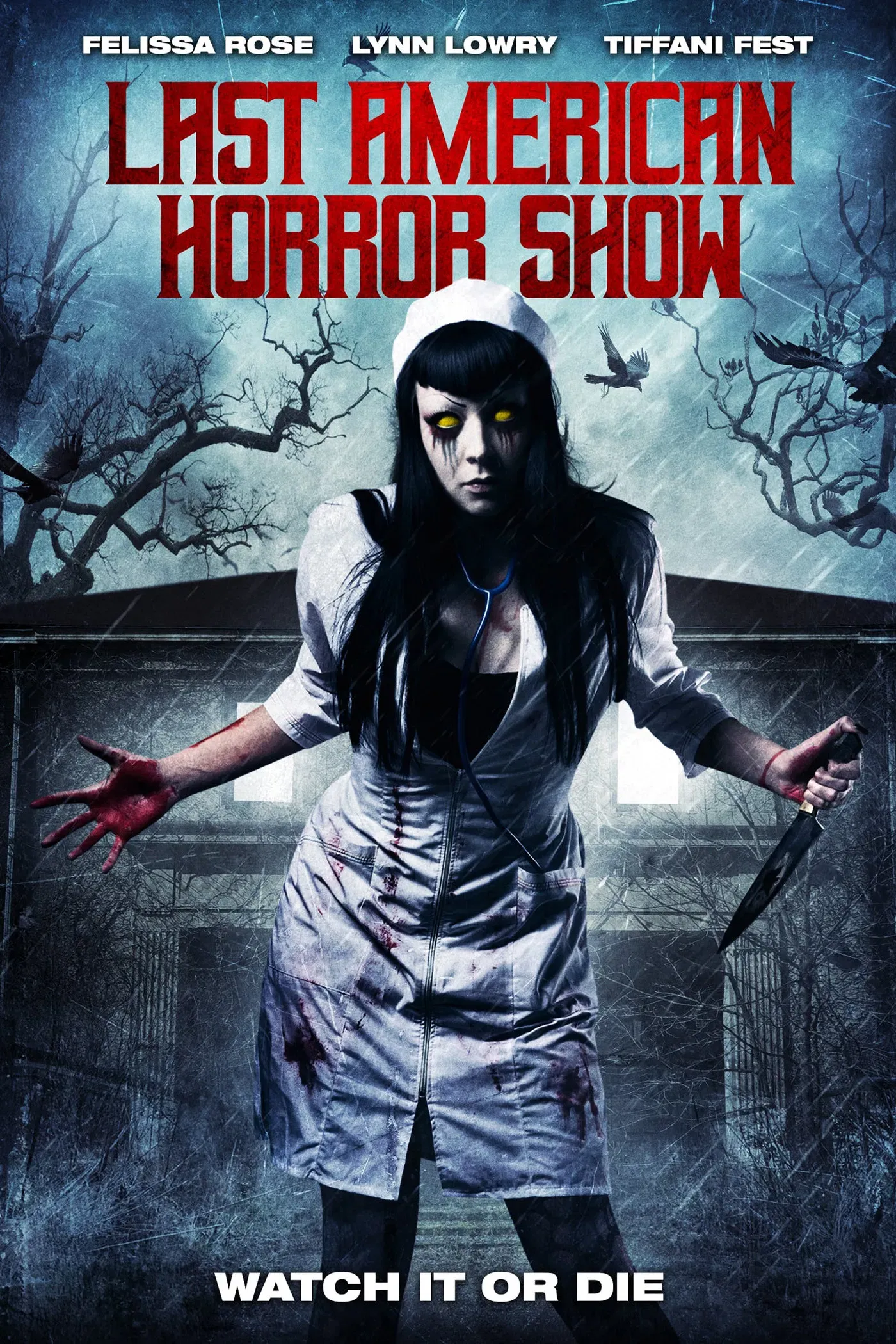 Poster of the movie Last American Horror Show