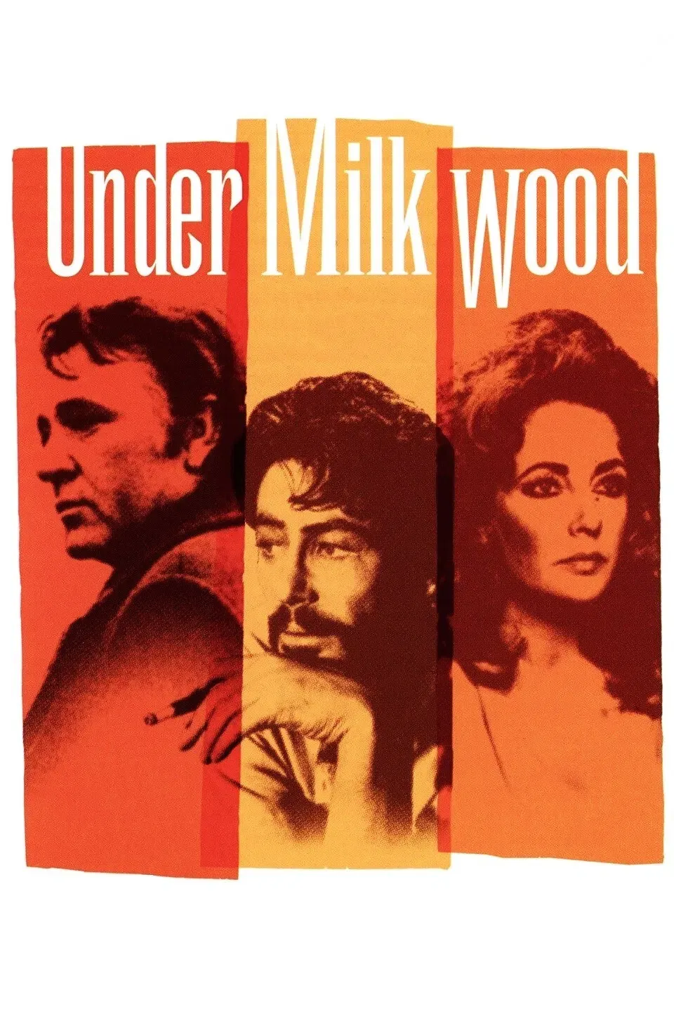 Poster of the movie Under Milk Wood