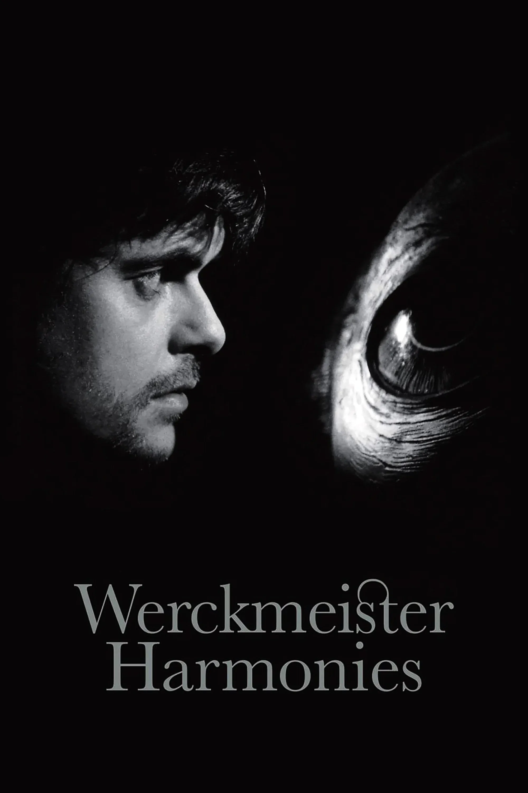Poster for Werckmeister Harmonies