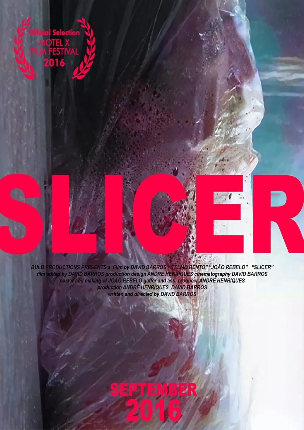 Poster of the movie Slicer