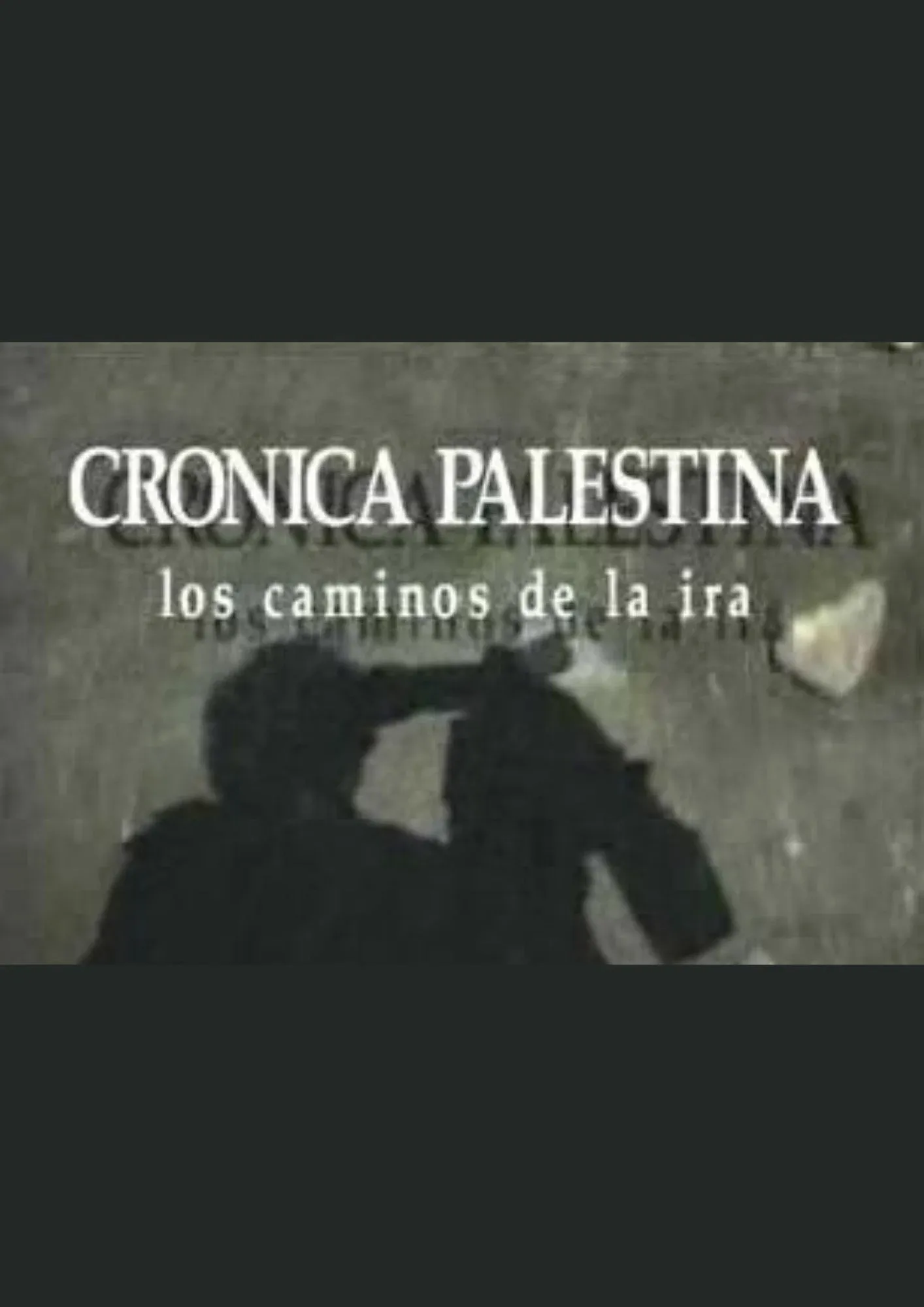 Poster for Palestine Chronicle