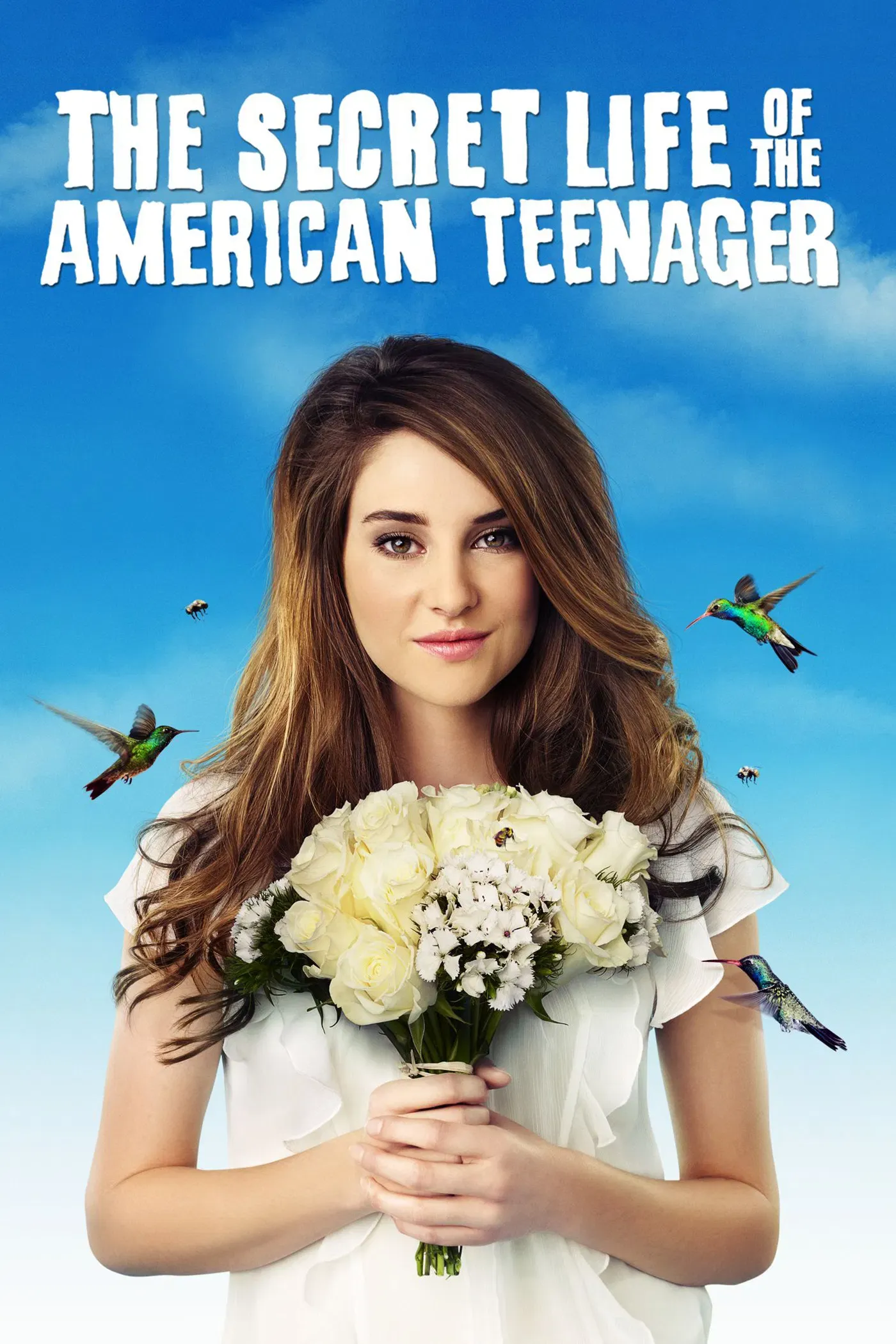 Poster of The Secret Life of the American Teenager