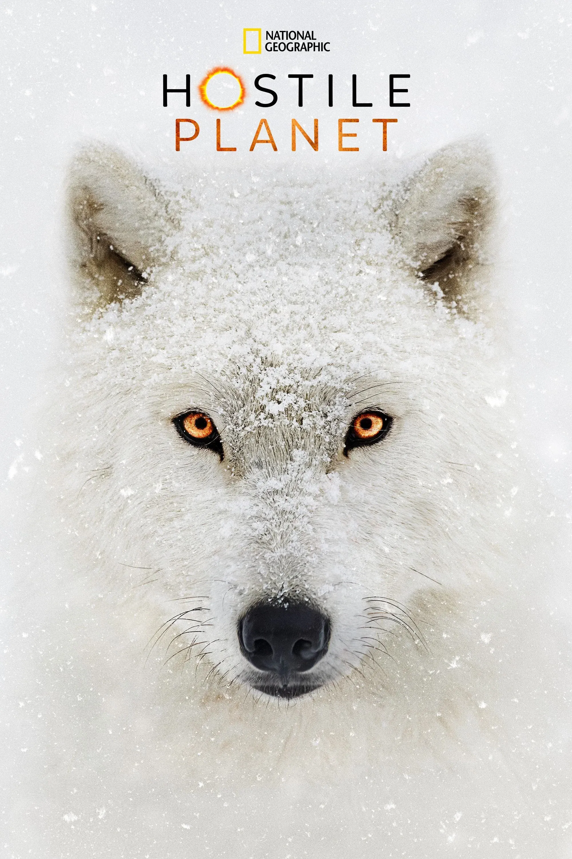 Poster of Hostile Planet