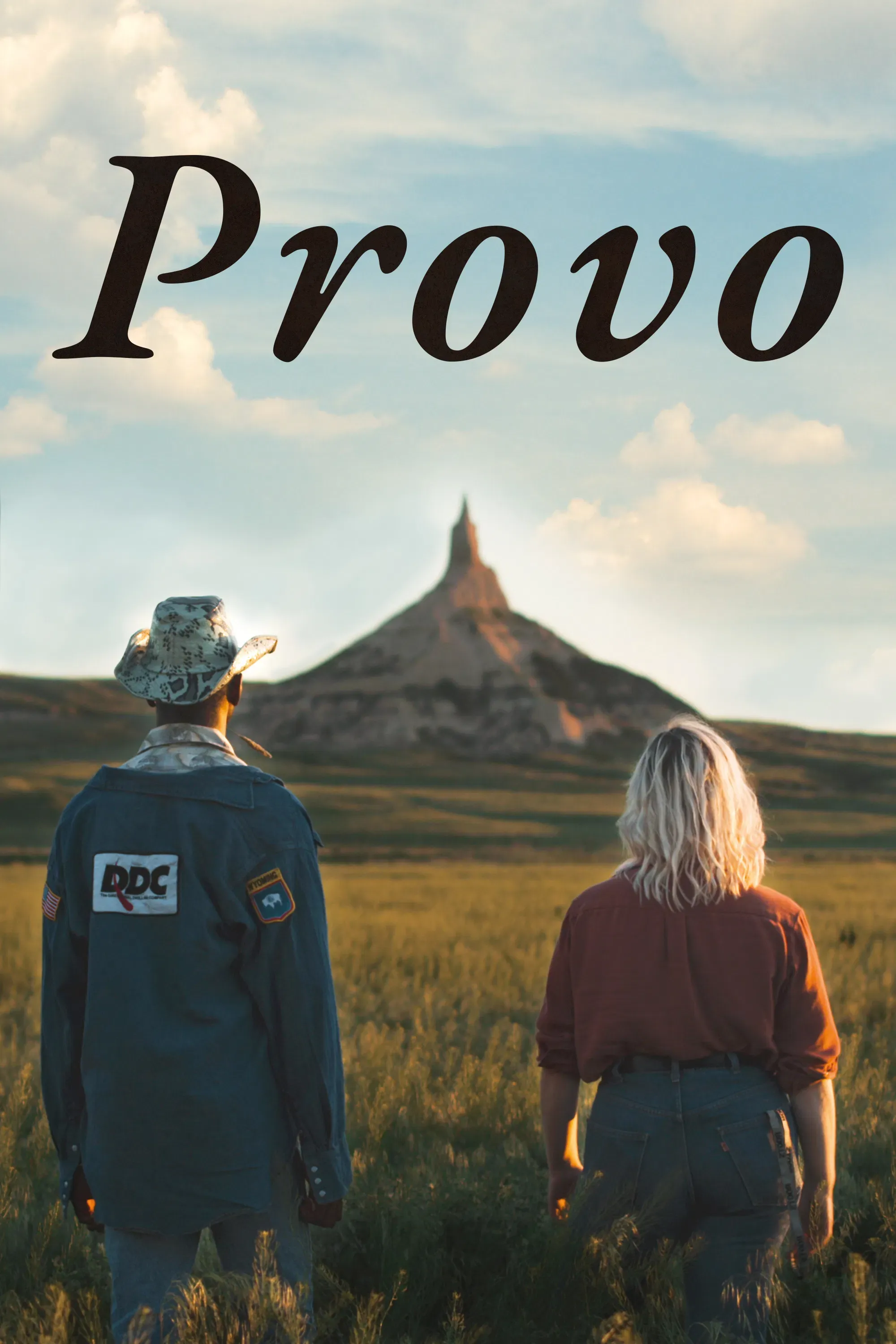 Poster of the movie Provo