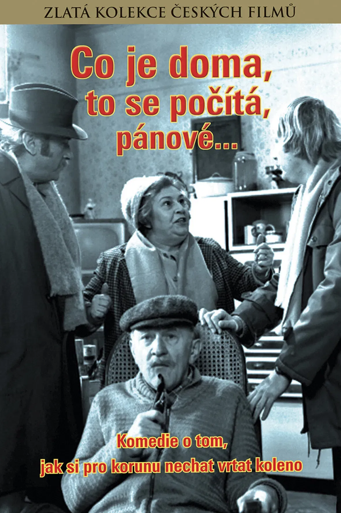 Poster of the movie Co je doma to se počítá, pánové...