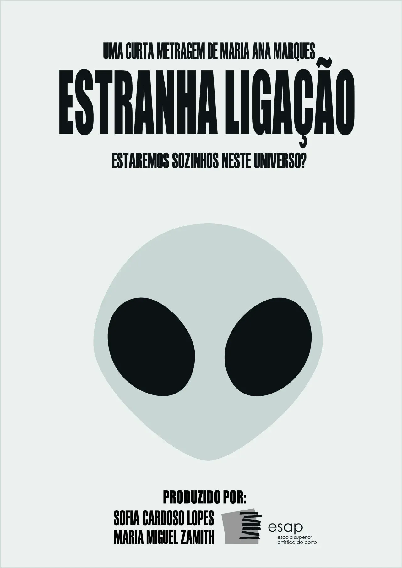 Poster for Estranha Ligação