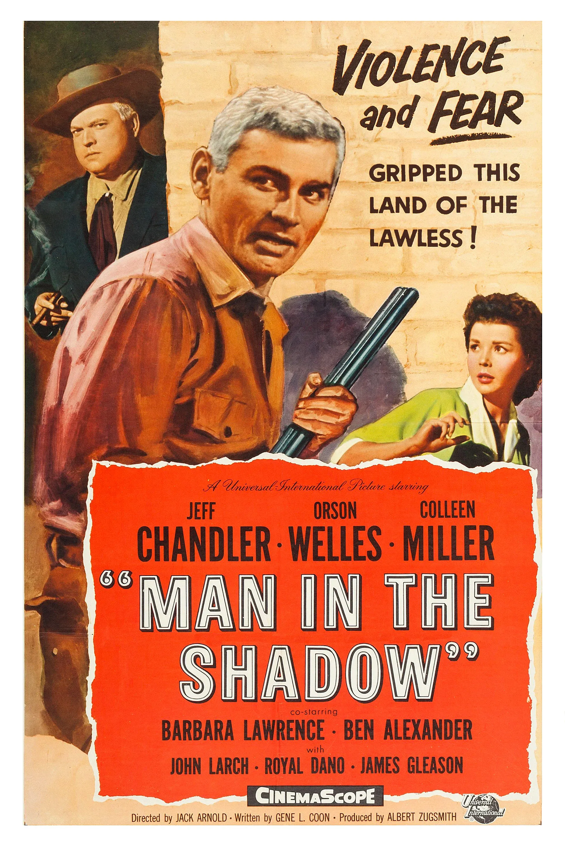Poster of the movie Man in the Shadow