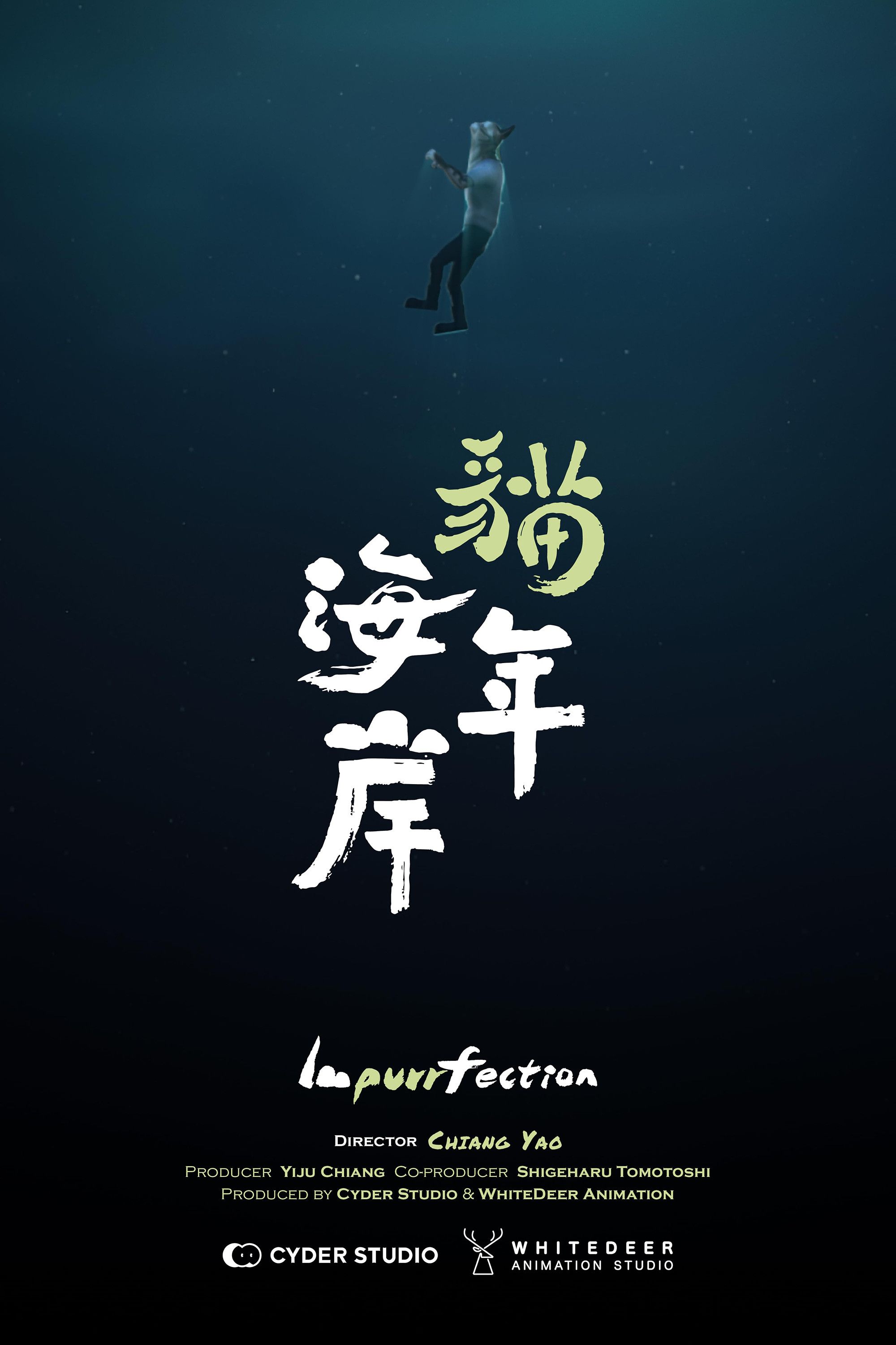 Poster for Impurrfection
