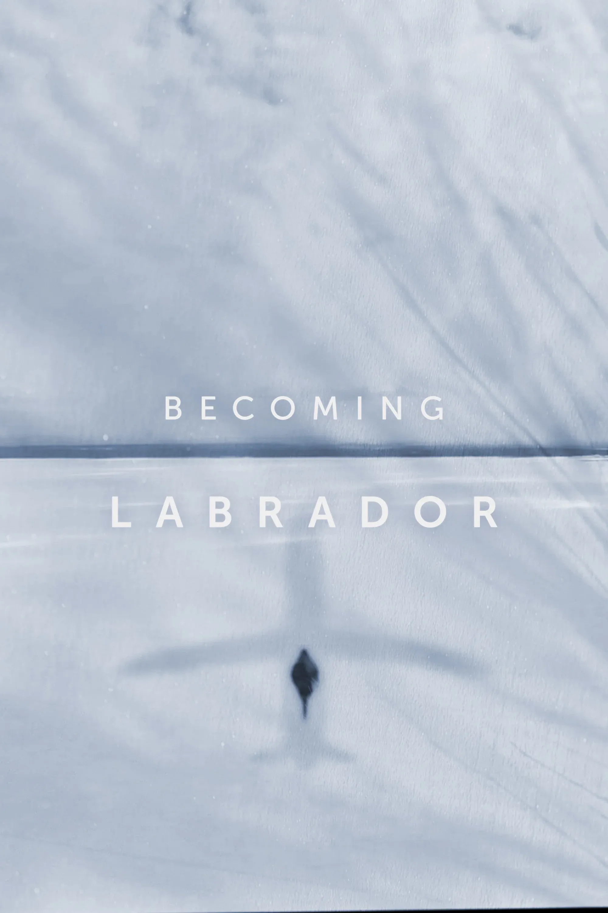 Poster for Becoming Labrador