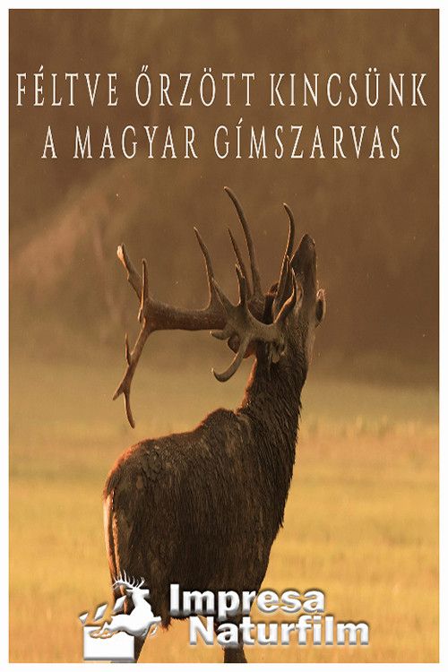 Poster for Féltve őrzött kincsünk, a magyar gímszarvas