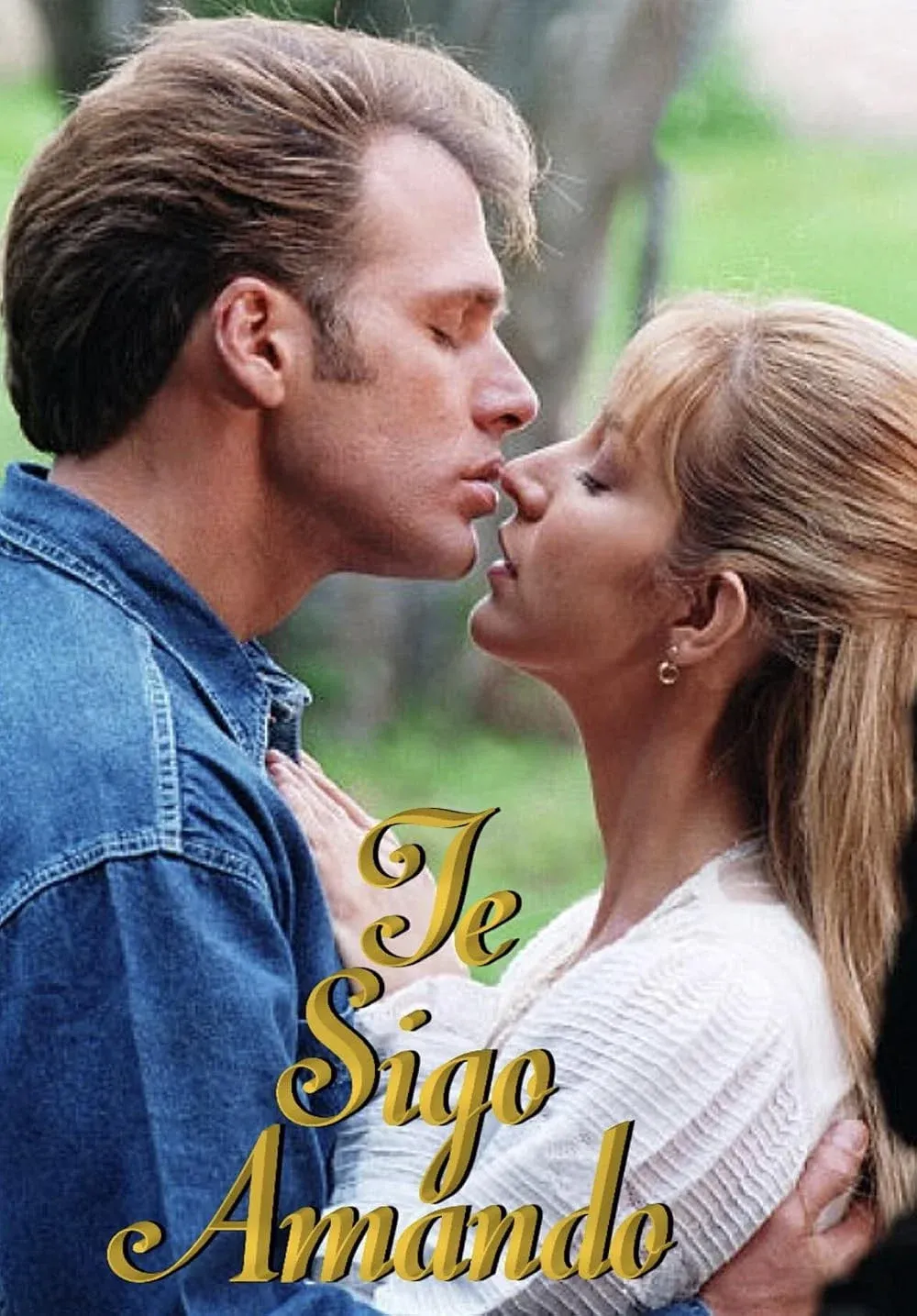 Poster of Te Sigo Amando