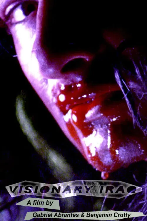 Poster of the movie Visionary Iraq