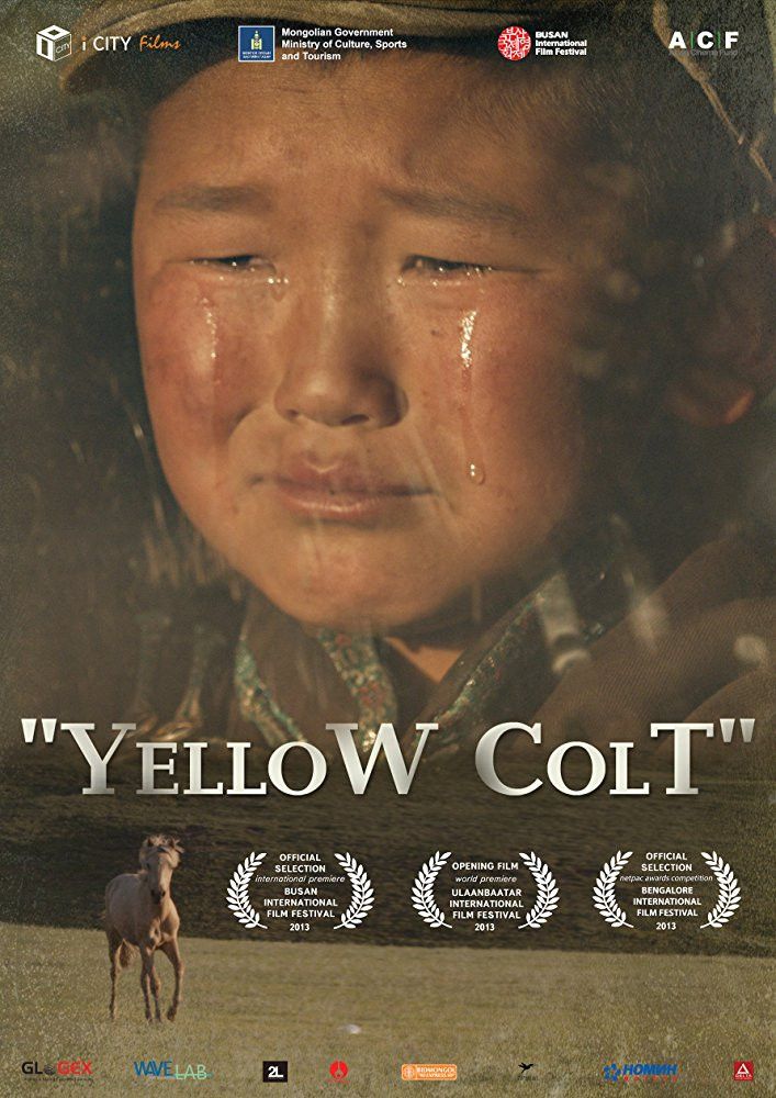 Poster of the movie Yellow Colt