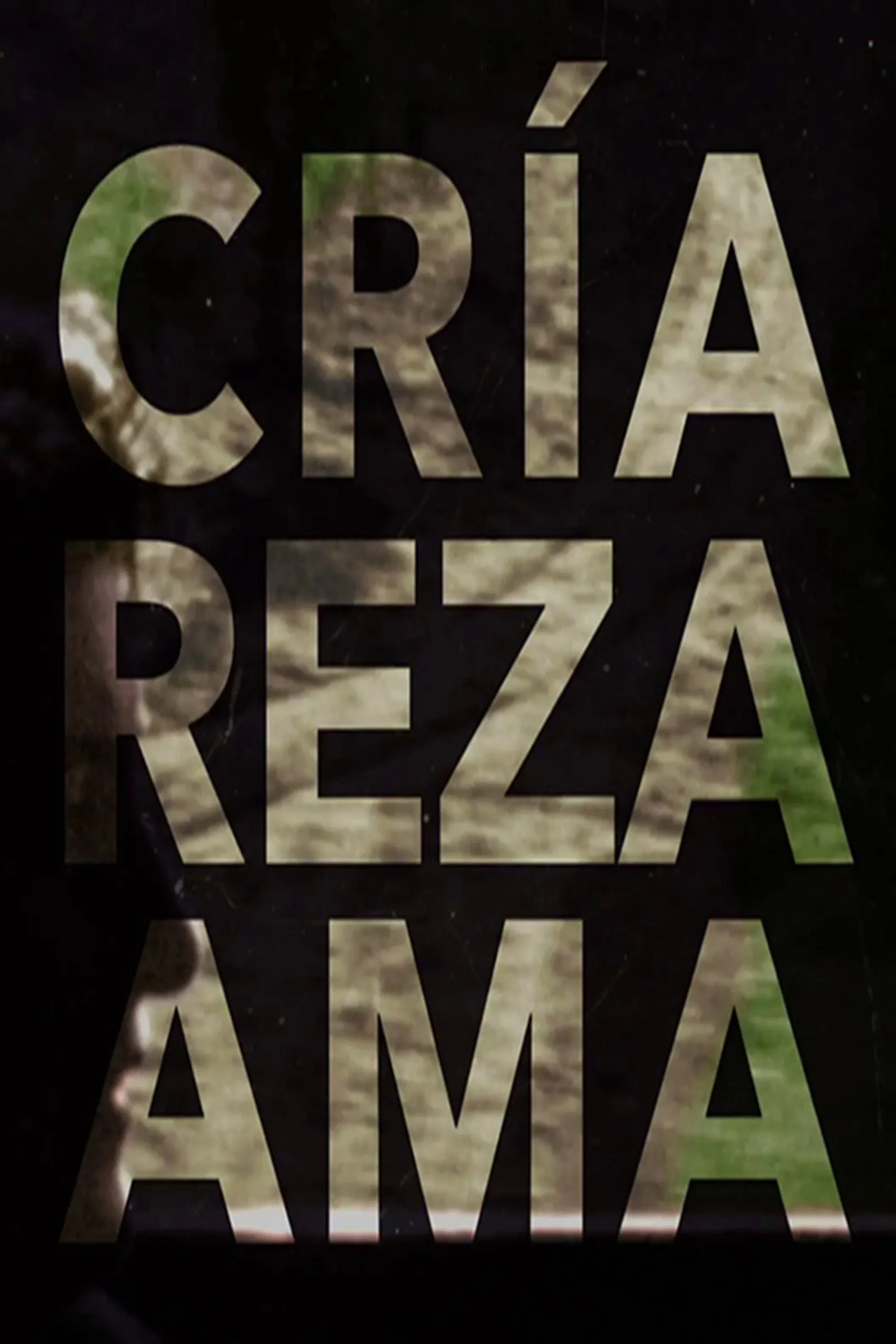 Poster for Cría, reza, ama