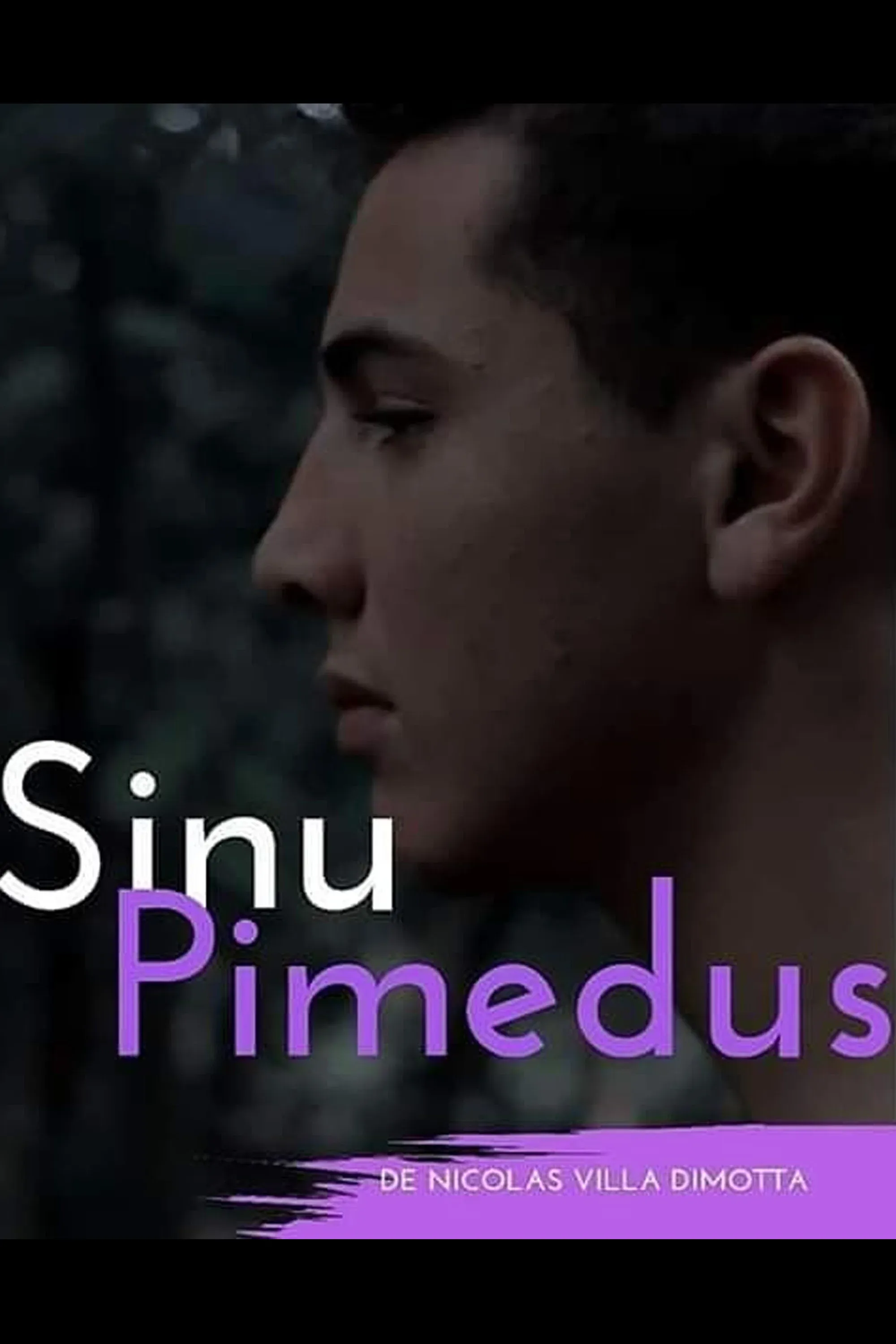 Poster for Sinu Pimedus