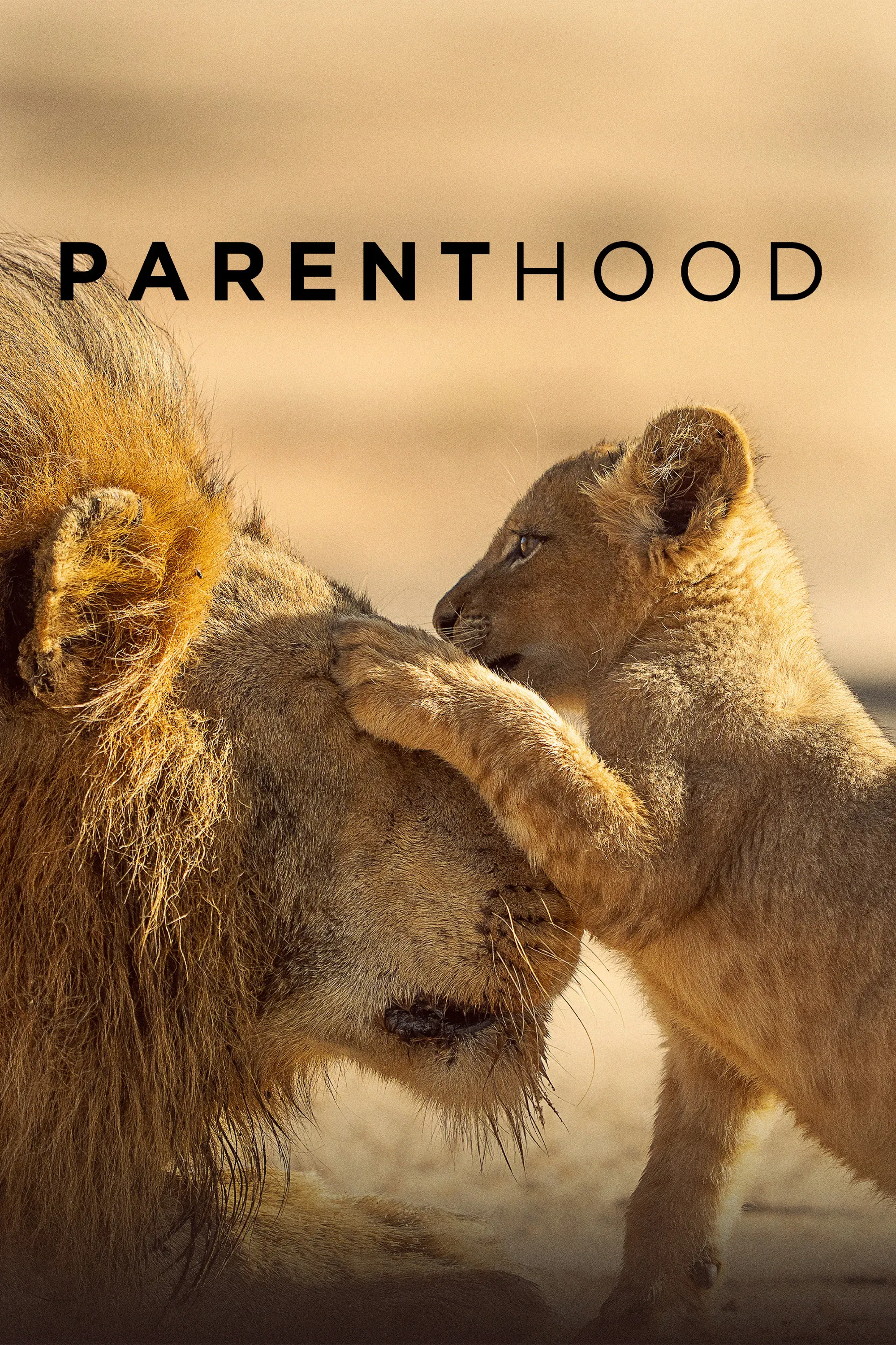 Poster of Parenthood
