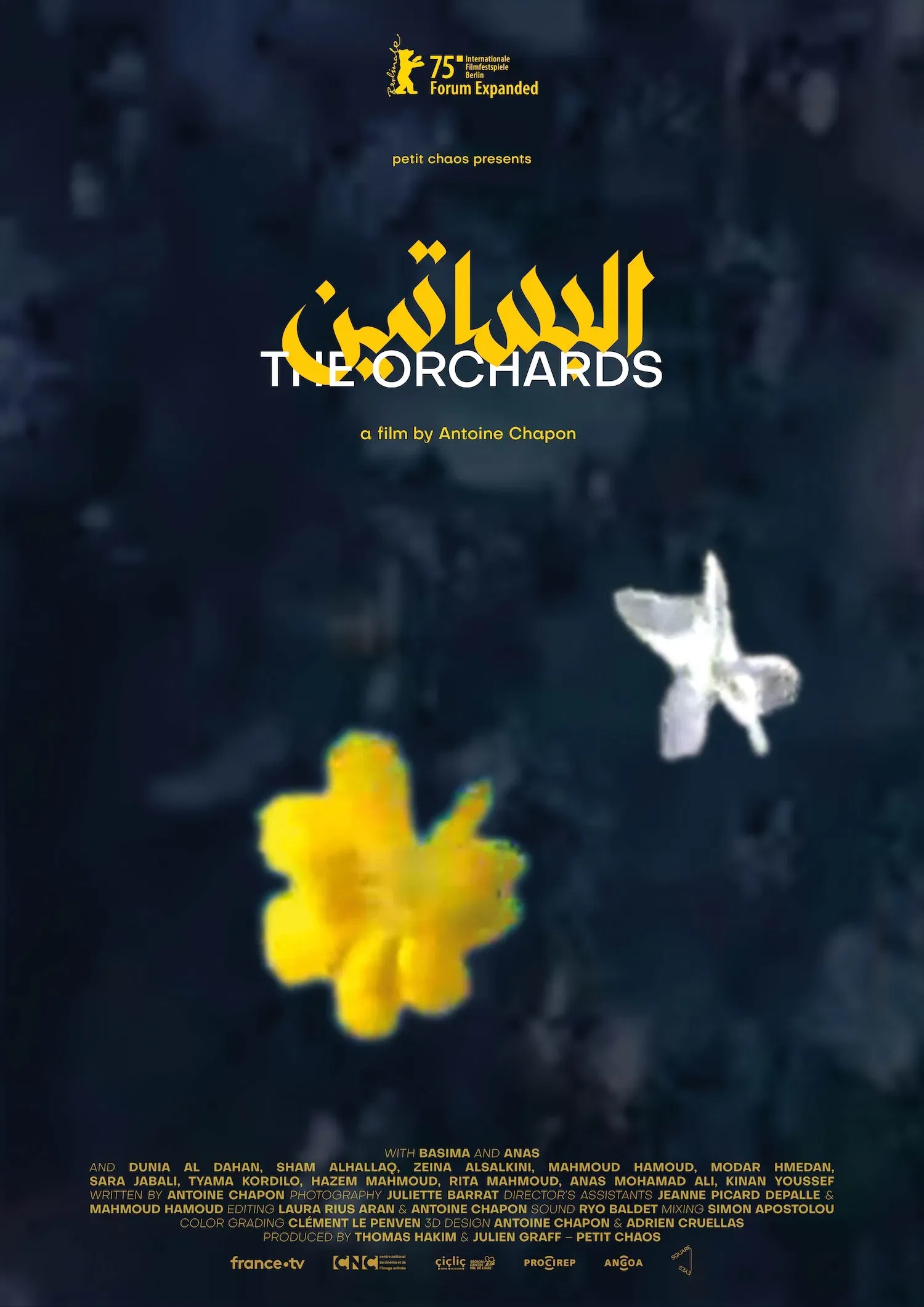 Poster of the movie The Orchards