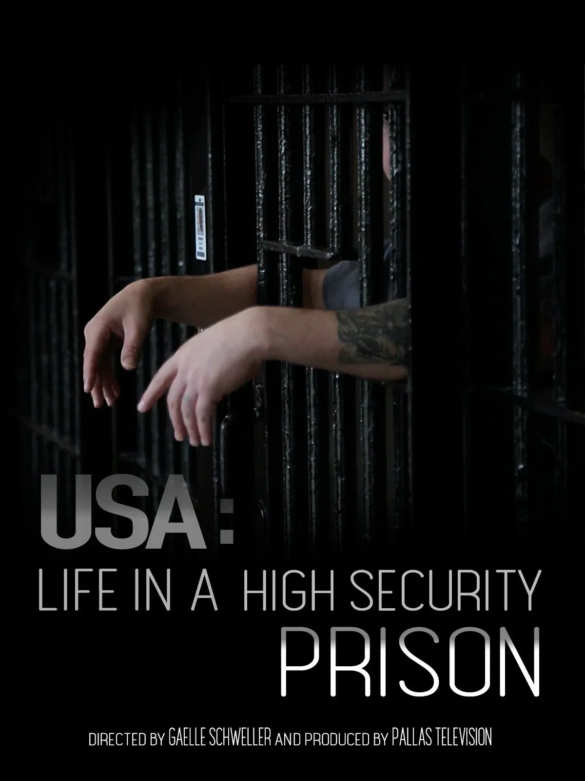 Poster for USA: Life in a High Security Prison