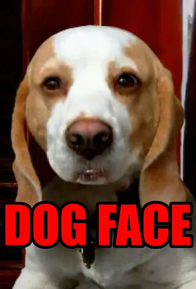 Poster of Dogface