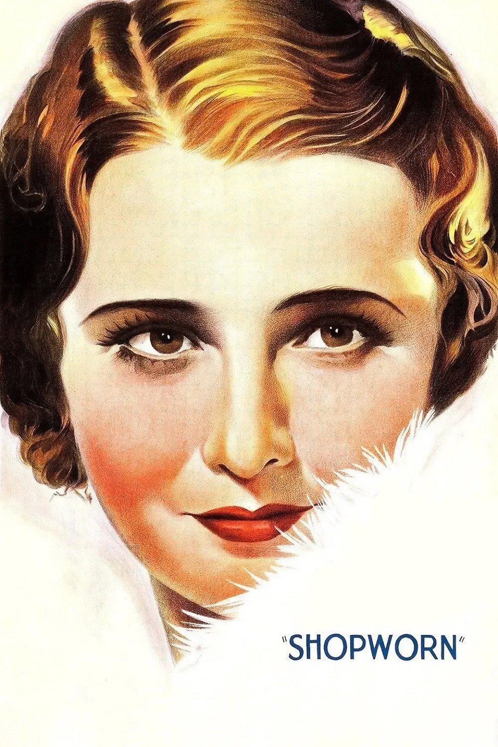 Poster of the movie Shopworn