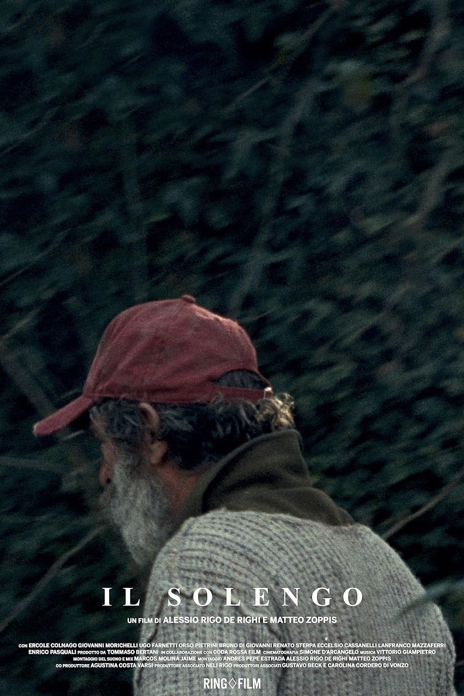 Poster of the movie Il solengo