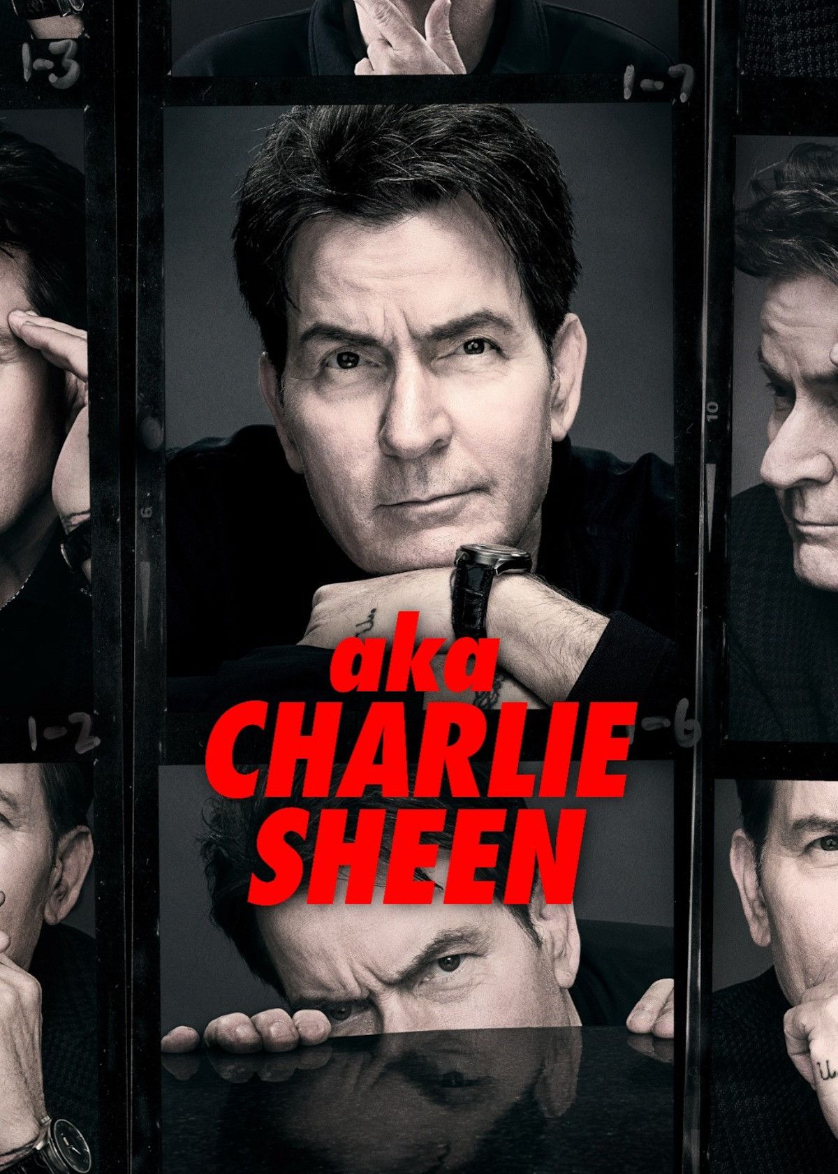 Poster of aka Charlie Sheen