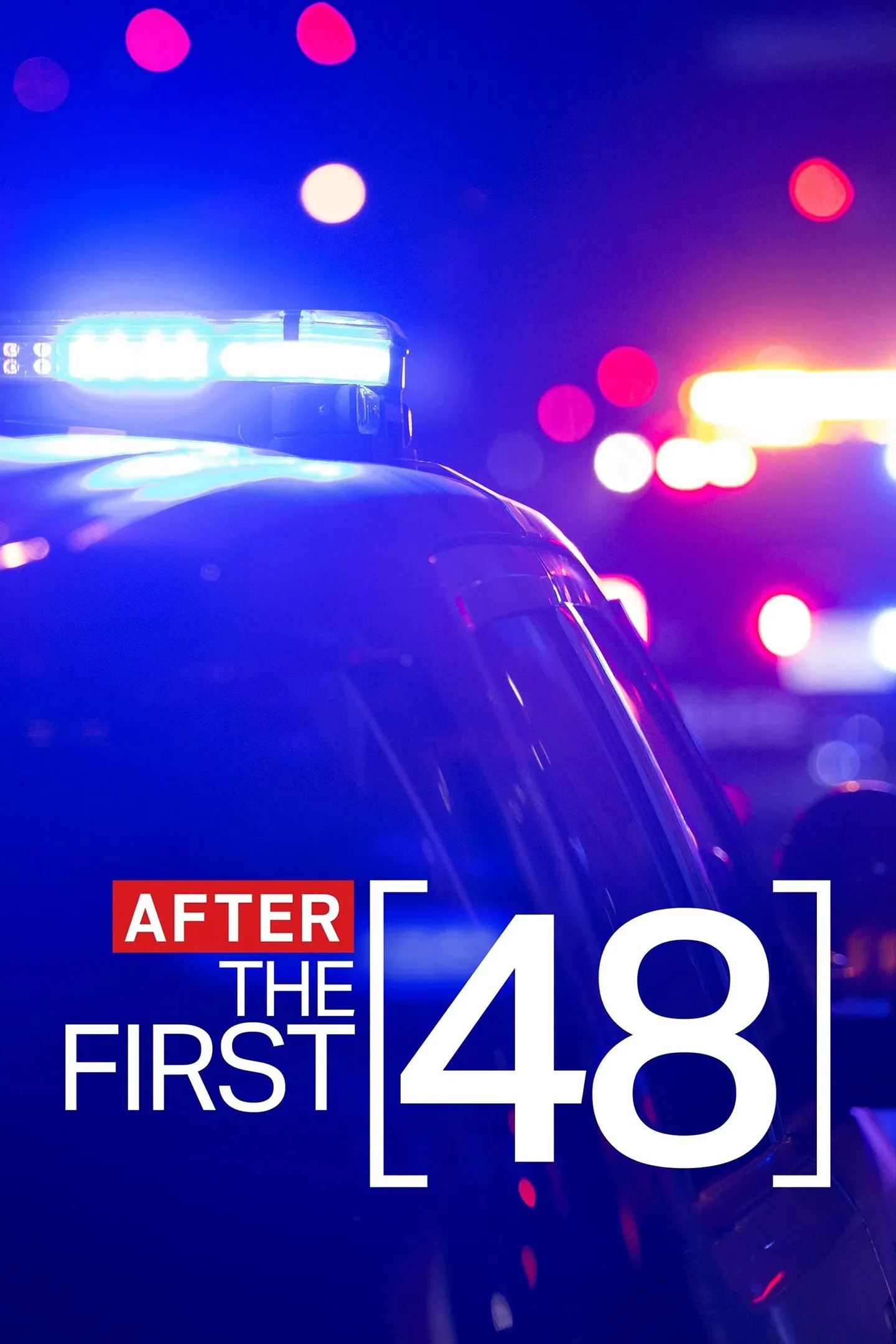 Poster of After the First 48