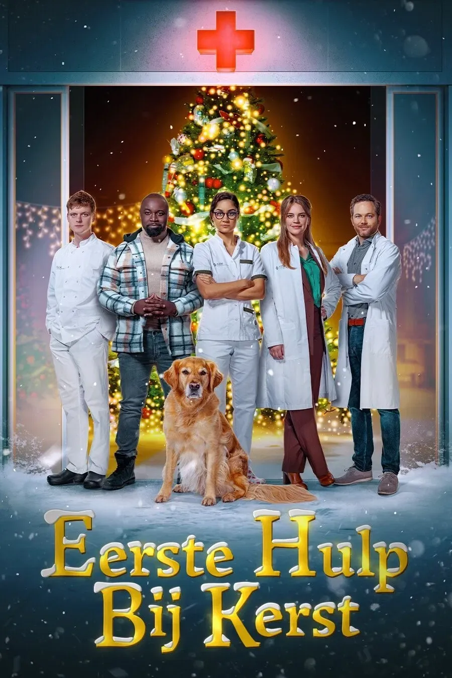 Poster of the movie Eerste Hulp Bij Kerst
