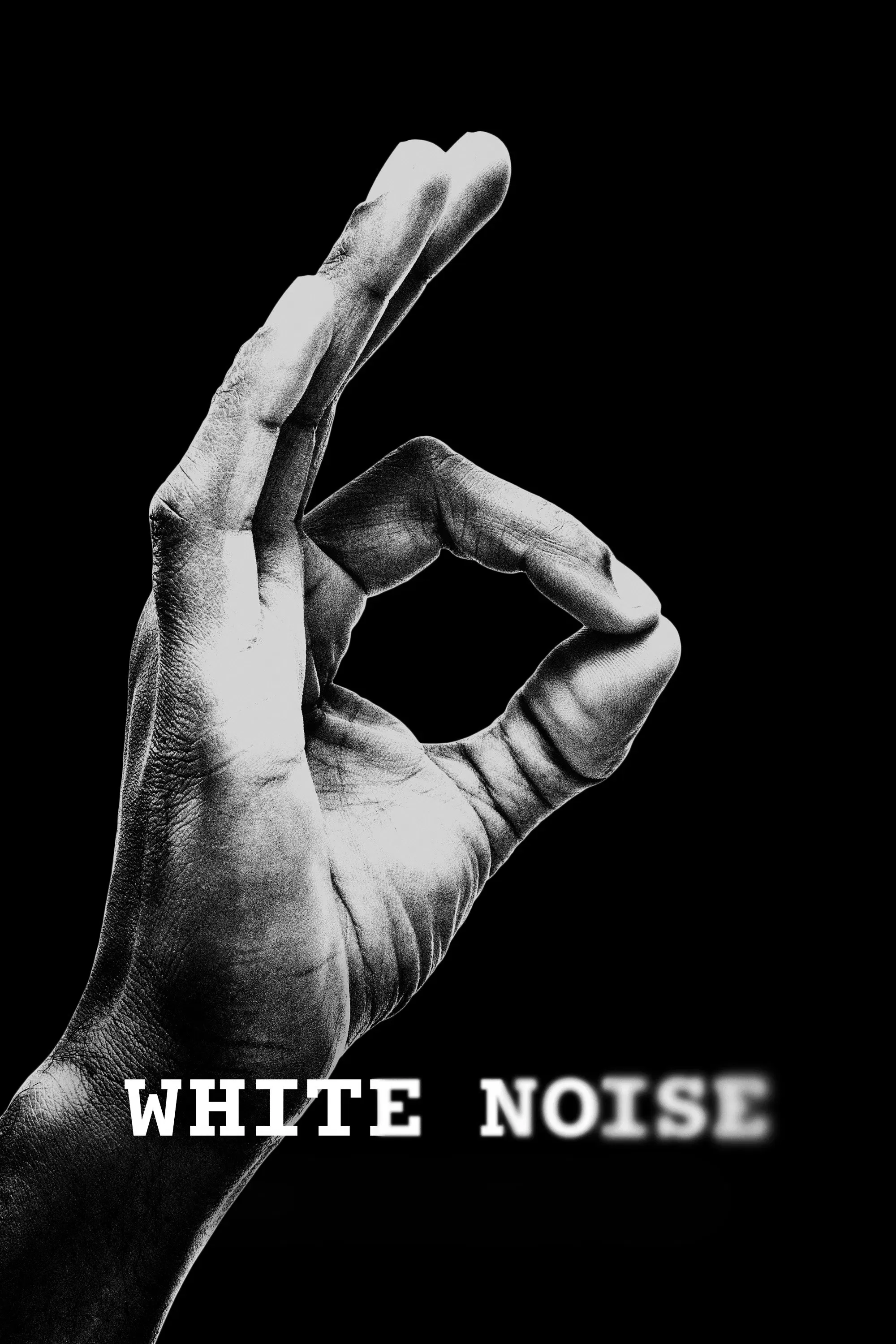 Poster of the movie White Noise