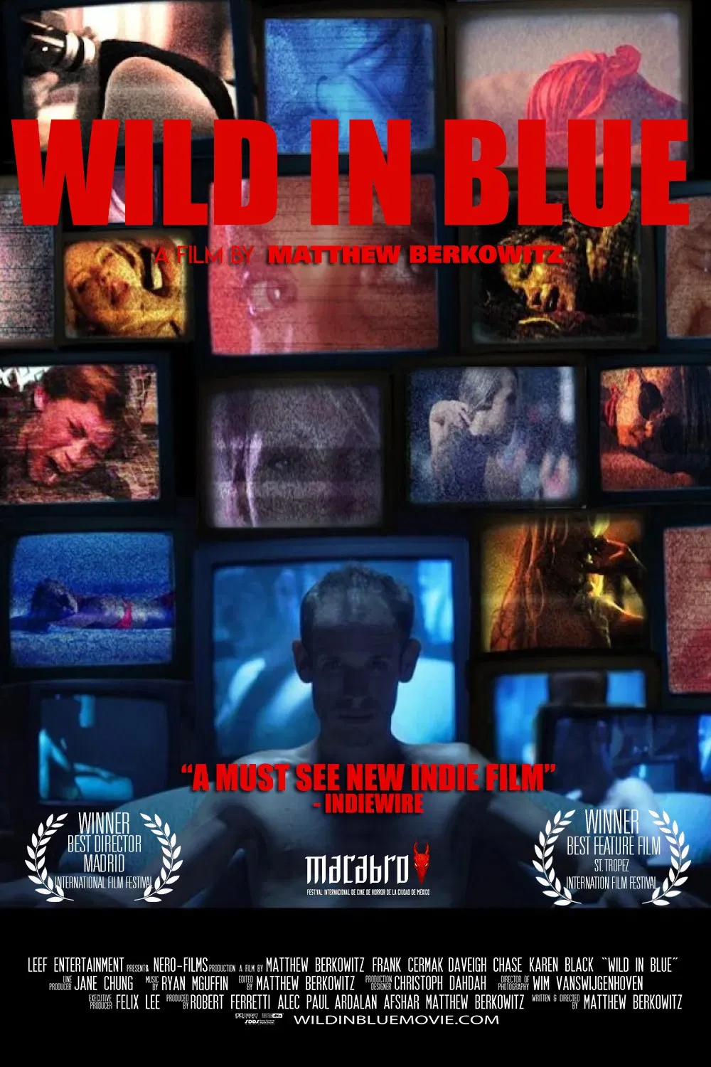 Poster of the movie Wild in Blue