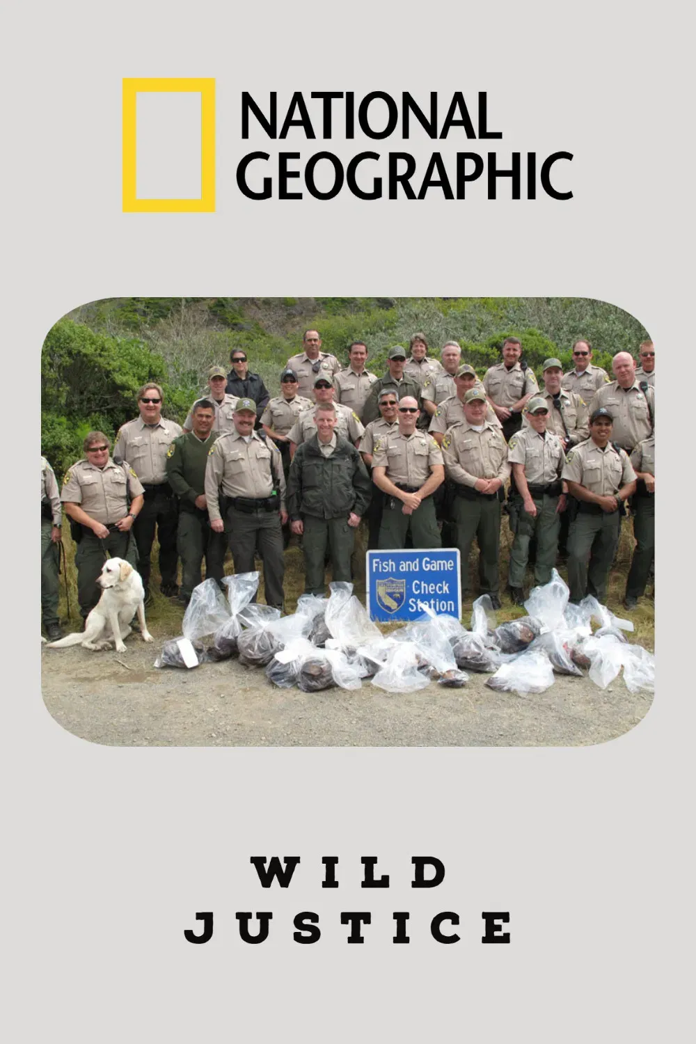 Poster of Wild Justice