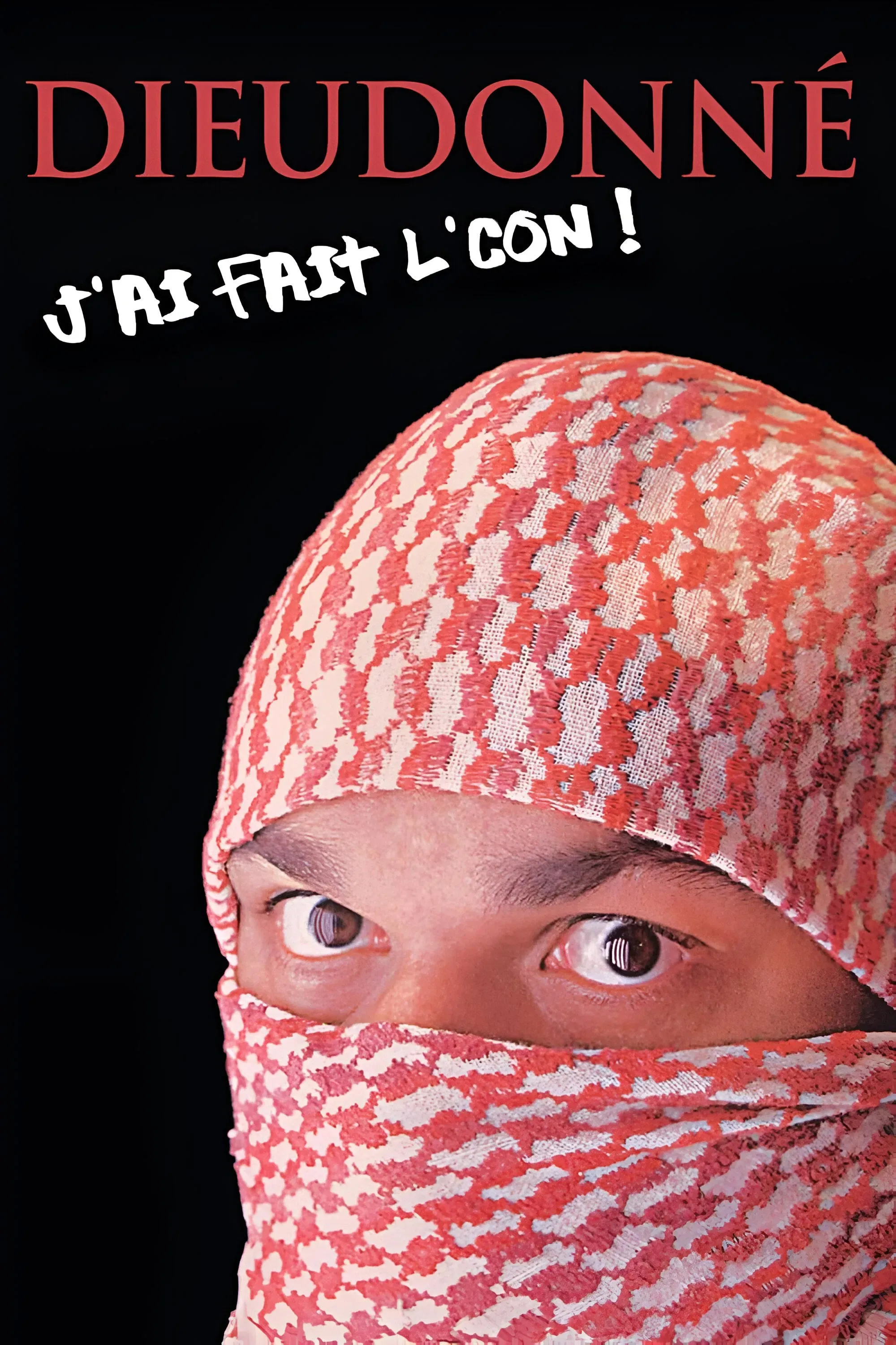 Poster of the movie Dieudonné - J’ai fait l’con