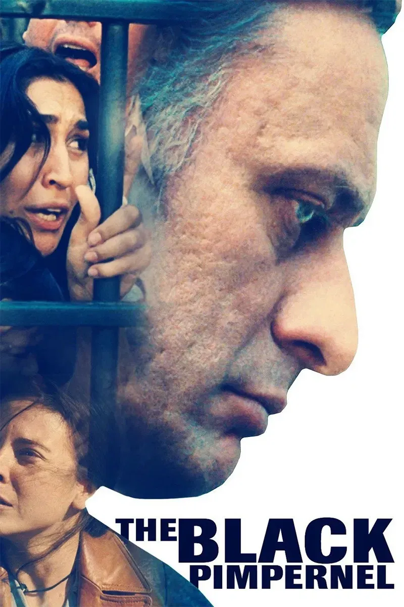 Poster of the movie The Black Pimpernel