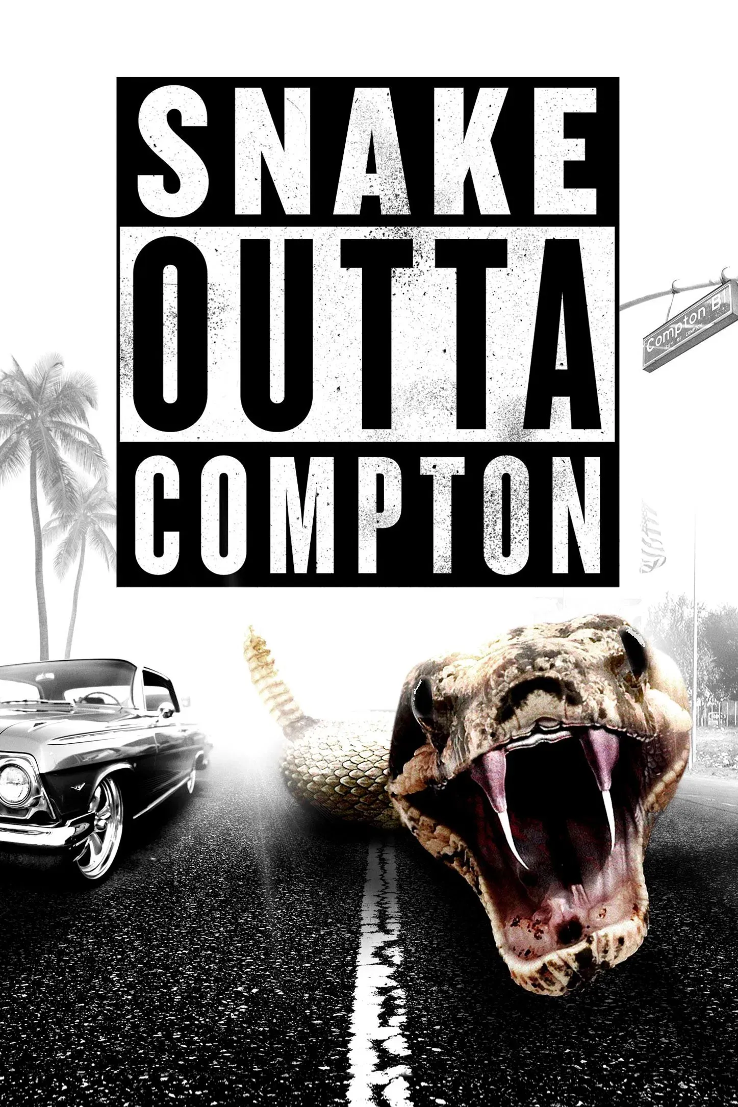 Poster of the movie Snake Outta Compton