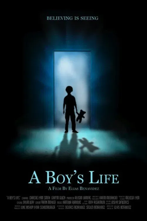 Poster of the movie A Boy's Life