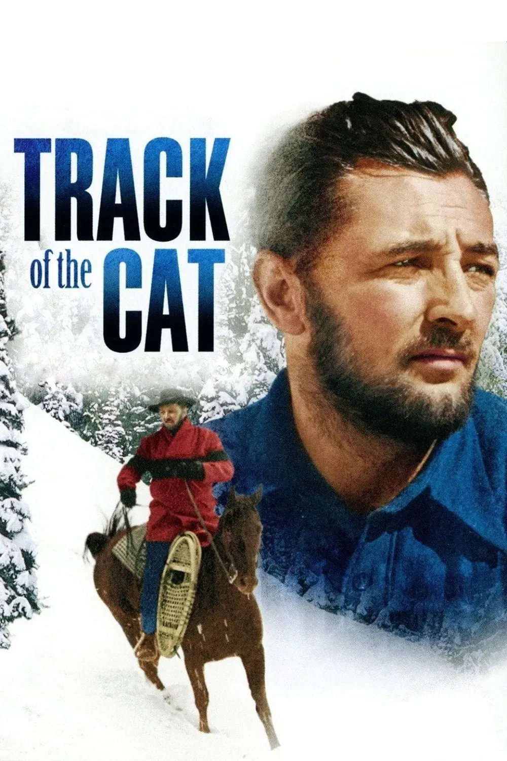 Poster of the movie Track of the Cat