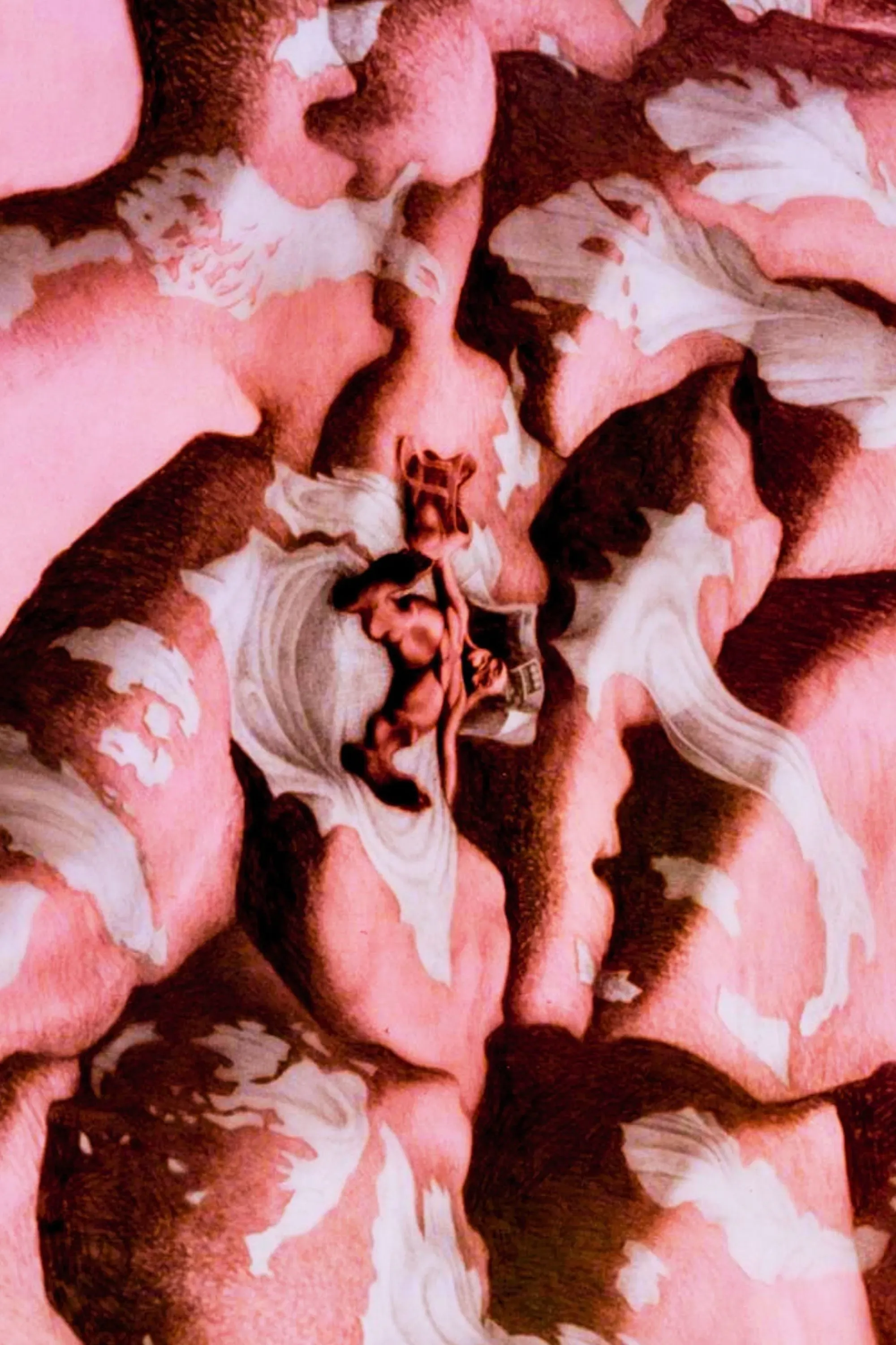 Poster of the movie The Public Voice