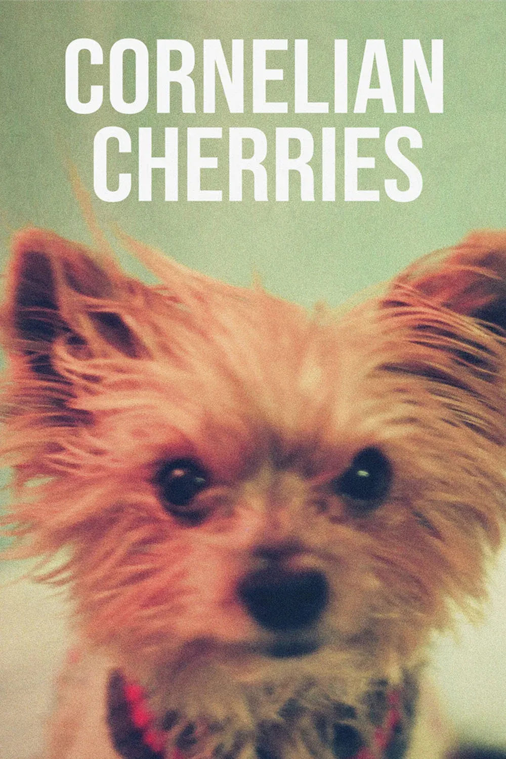 Poster for Cornelian Cherries