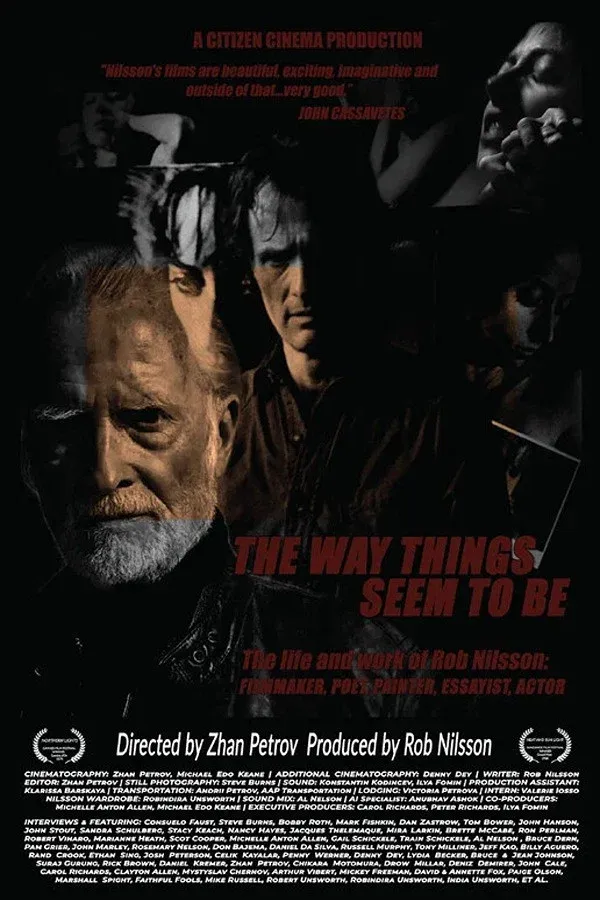 Poster for The Way Things Seem to Be