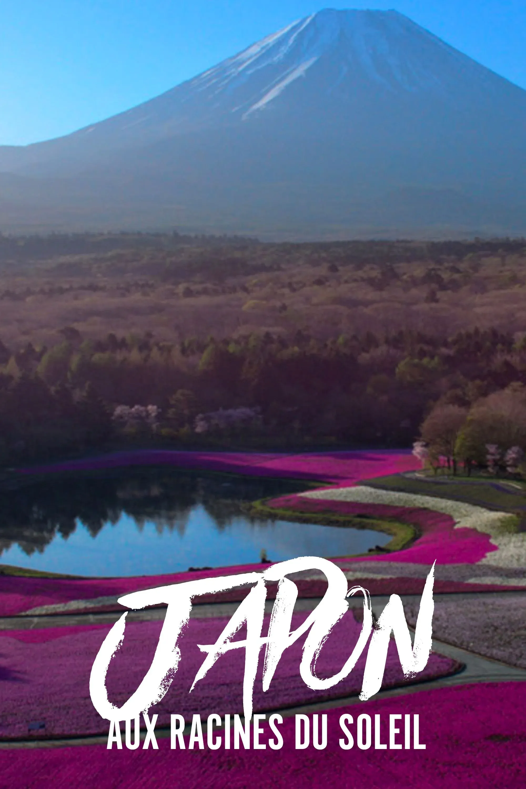 Poster for Japon, aux racines du soleil
