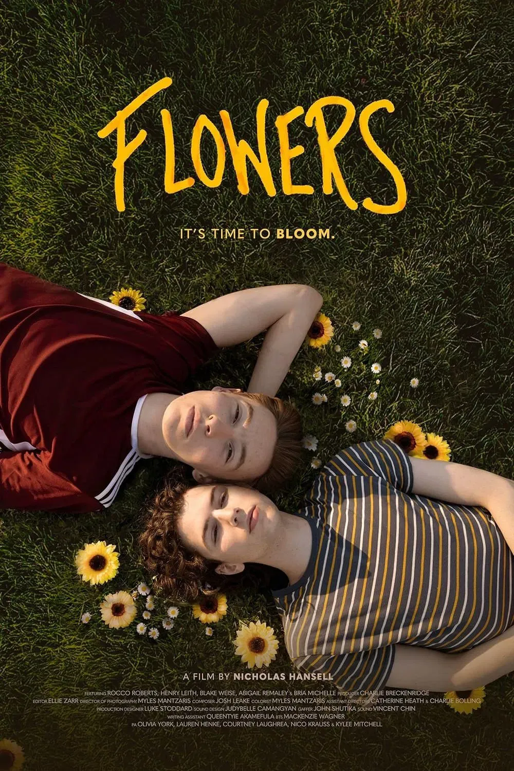 Poster of the movie Flowers